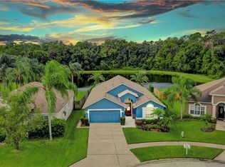 12538 Sparkleberry Rd, Tampa, FL 33626