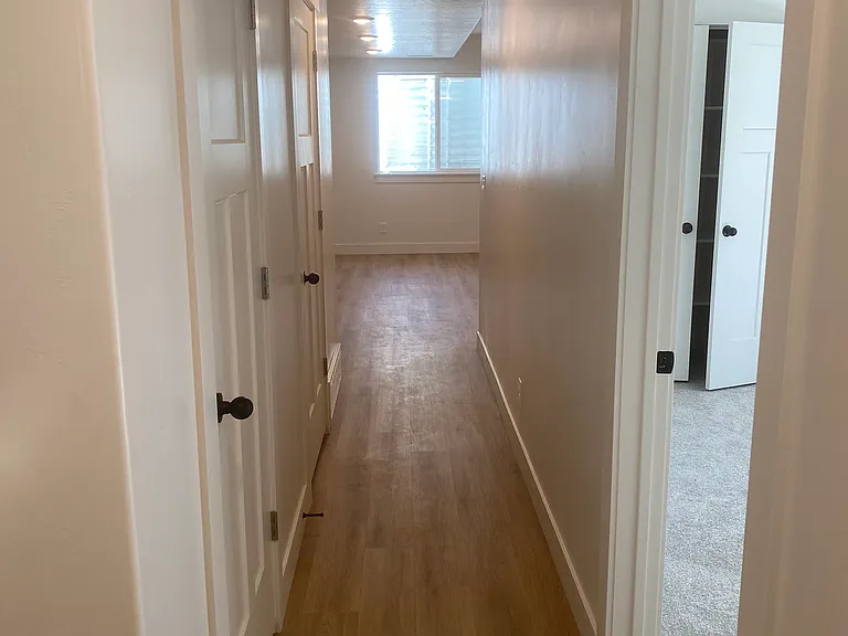 Hallway leading from front door to bathroom, bedroom and kitchen/living room.