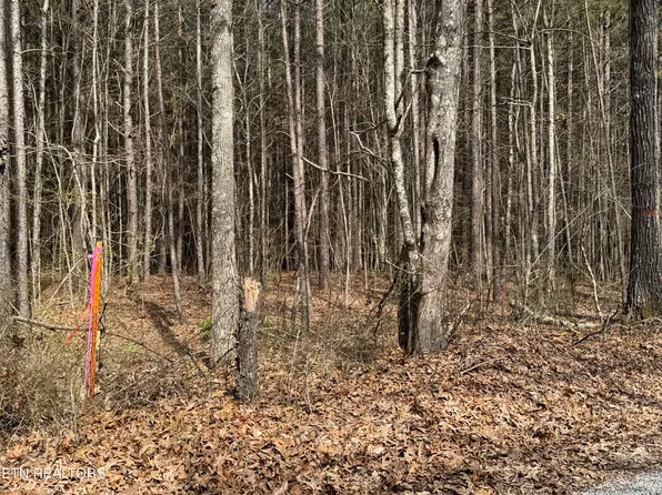 Sam Summers Rd, Rockwood, TN 37854