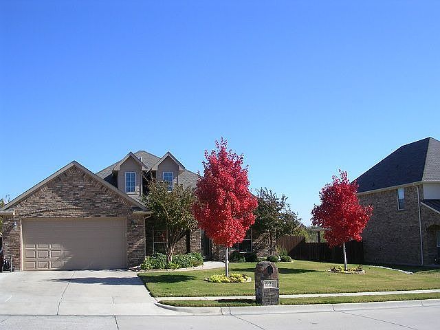 Front Fall Foliage