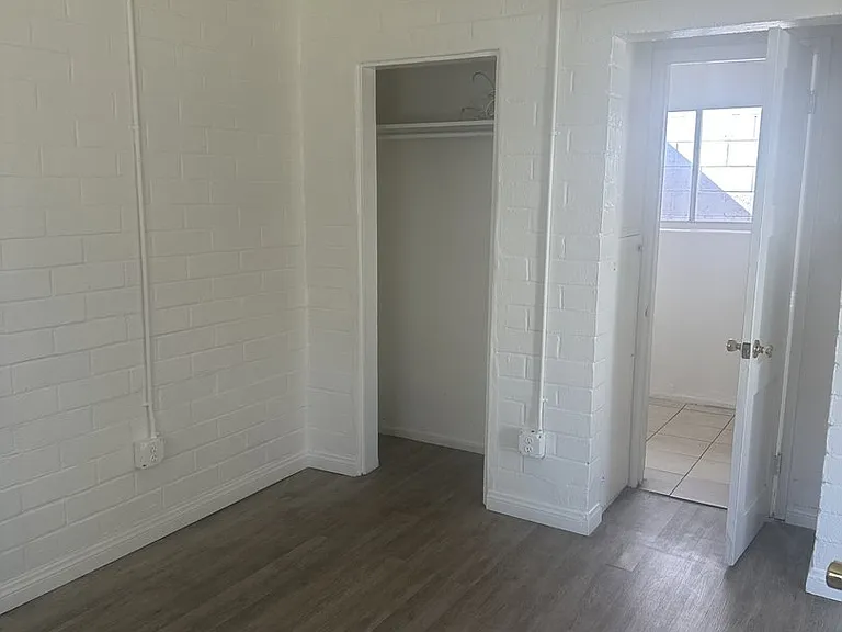 3735 Dalbergia St #3 — Photo 6