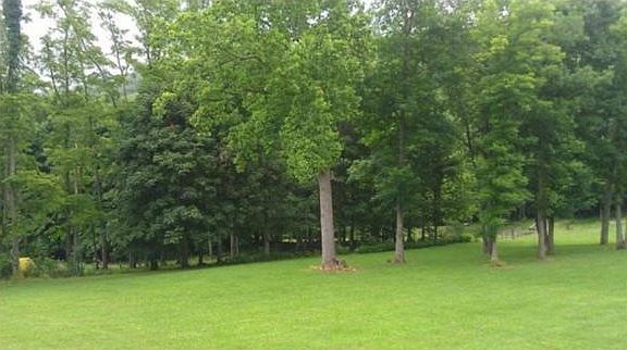 2nd image of 207 Toms Creek Cir