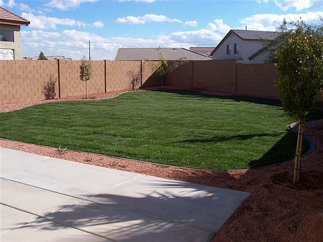 Beautiful large yard 