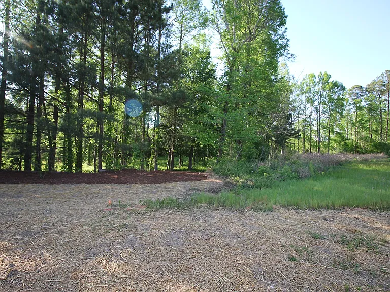 1028 Phelps West Rd — Photo 20