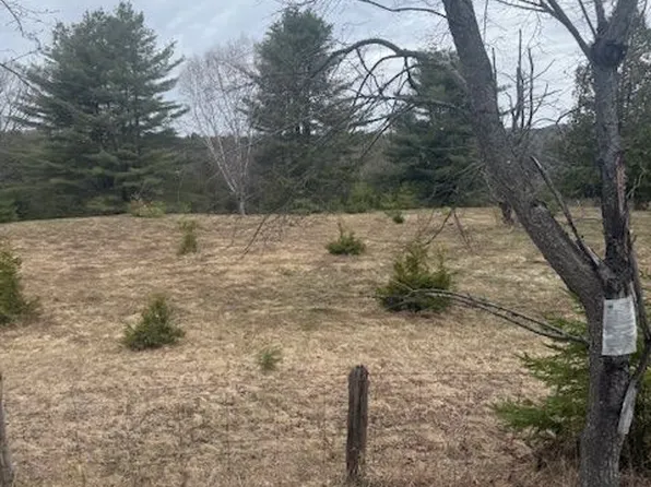 LOT 1 Detlor Rd, Bancroft, ON K0L 2L0