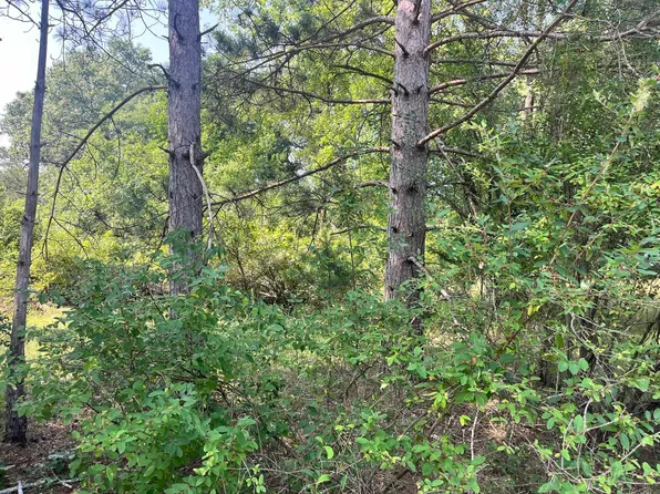 16 S Czech Ln, Friendship, WI 53934