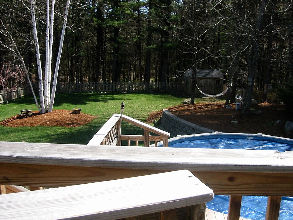 View of backyard 