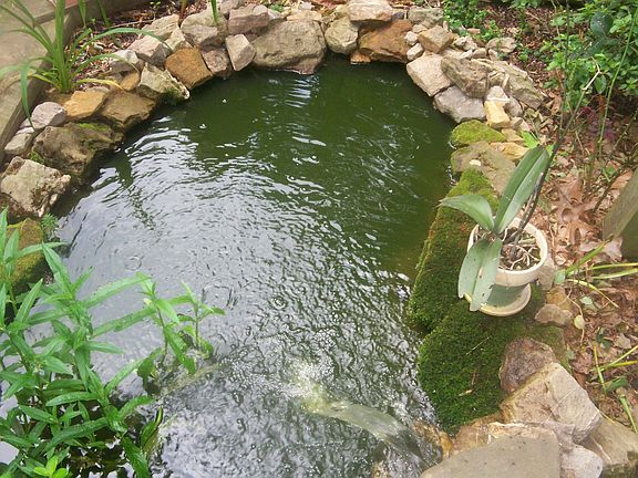 Pond Filter 1(has a waterfall not shown in picture)