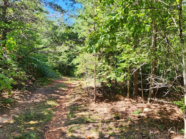 0 Cooks Knob Rd, Ferrum, VA 24088