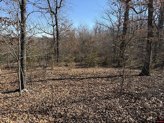 5th image of 563-00031-000 N Woods Ct