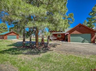 26 Steamboat Dr, Pagosa Springs, CO 81147