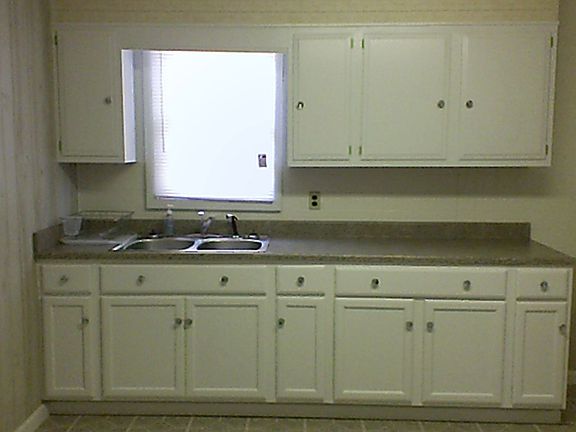 Kitchen (New Cabinets!)