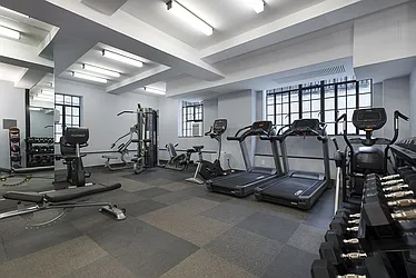 Rented by Bold New York