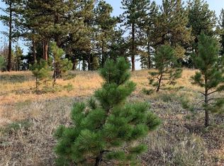 31599 Hilltop Rd, Golden, CO 80403