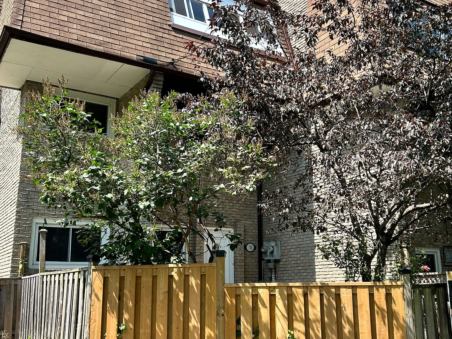 3 bed, $2,900 — Photo 1