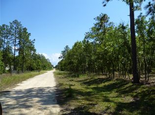 250 NE 137th Ave, Williston, FL 32696