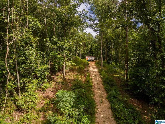 2nd image of 2681 Red Road 55