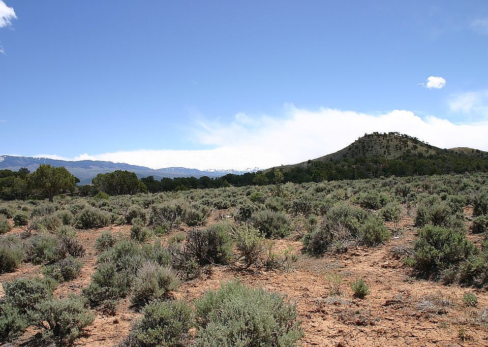 Views of the Cimarron Range
