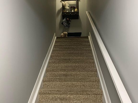 Stairwell view from entry door