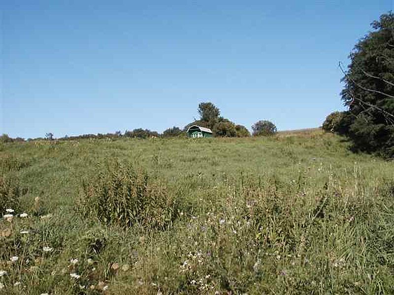 3rd image of 00 REYNOLDS Road
