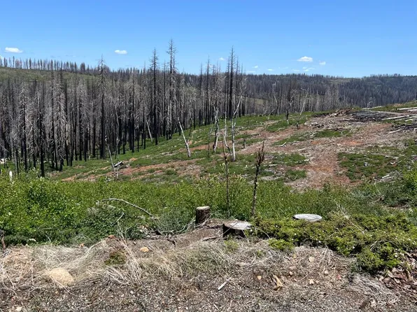 9N16 Road, Grizzly Flats, CA 95636