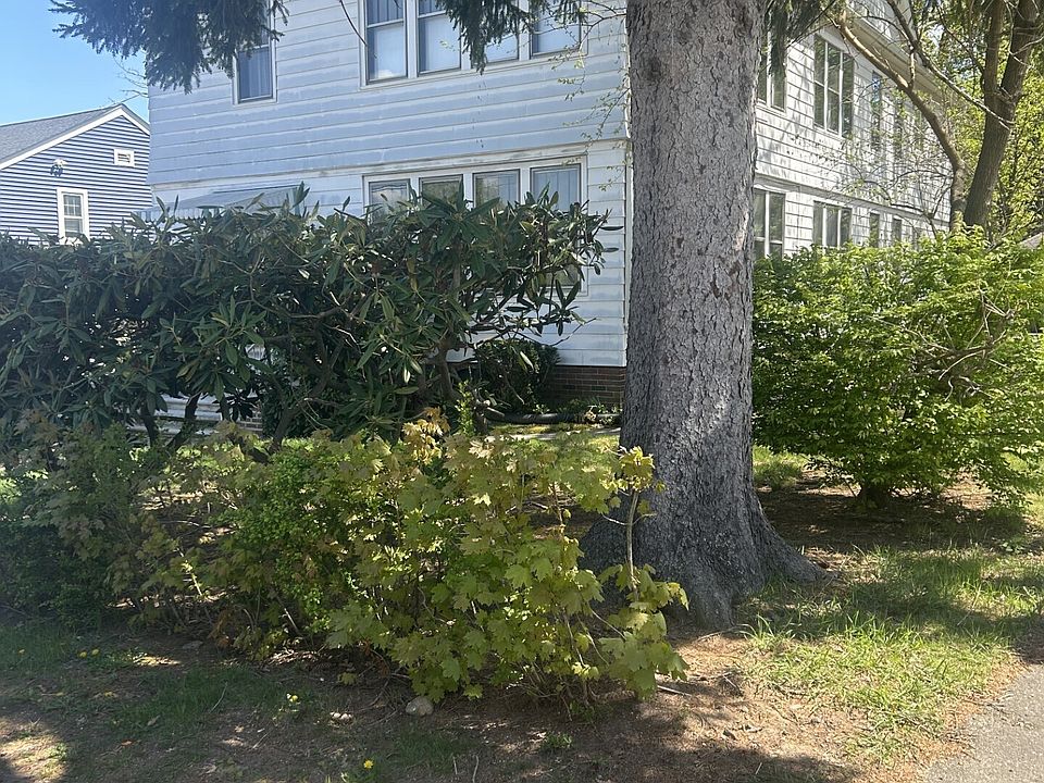 1st image of 41 Lawlor St