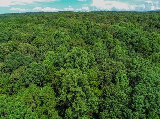 Mount Pisgah Rd, Ellijay, GA 30540