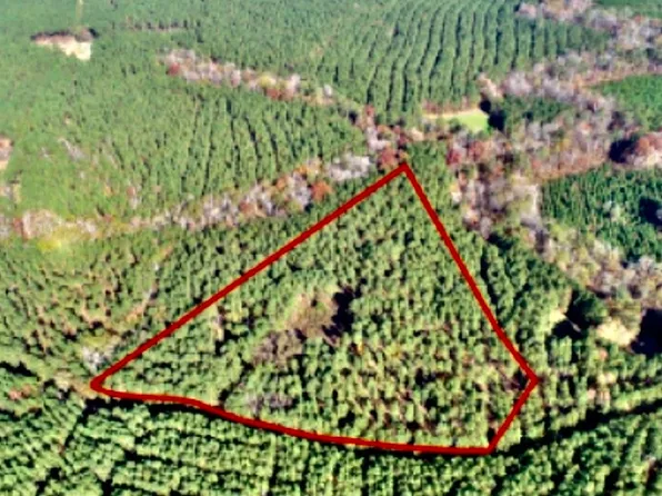 1654 Double Wells Rd, Crawfordville, GA 30631