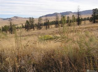 111 Tbd Armitage Hill Rd, Riverside, WA 98849