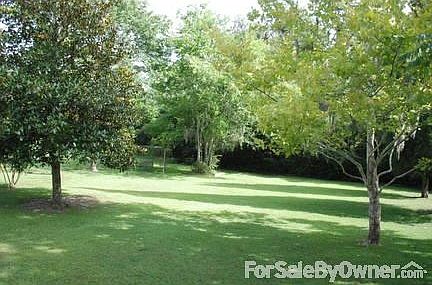 Back Yard
						:
						Big back yard!