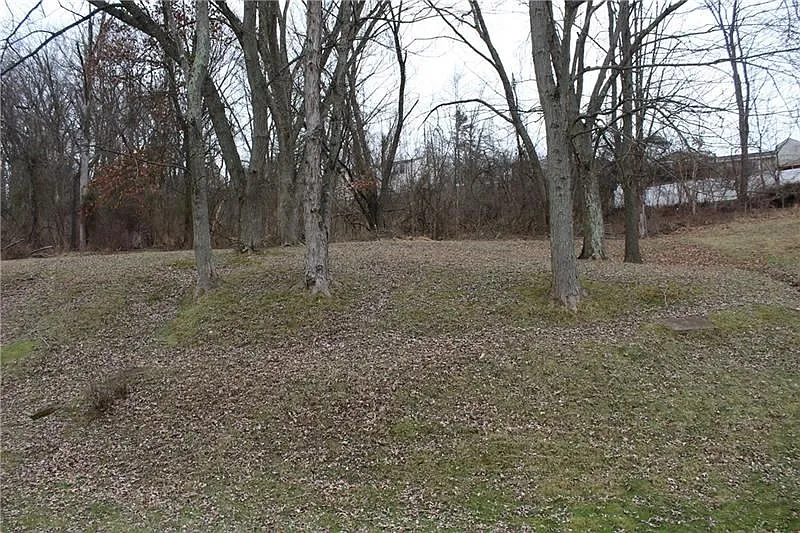 Thumbnail 18