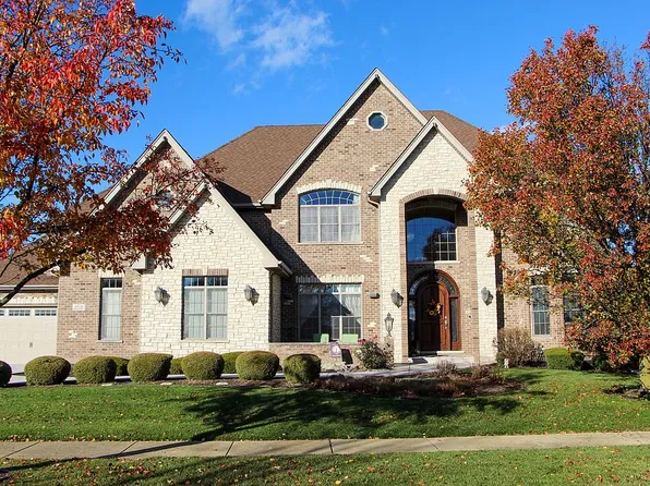 22520 N Pebble Lake Ct, Frankfort, IL 60423