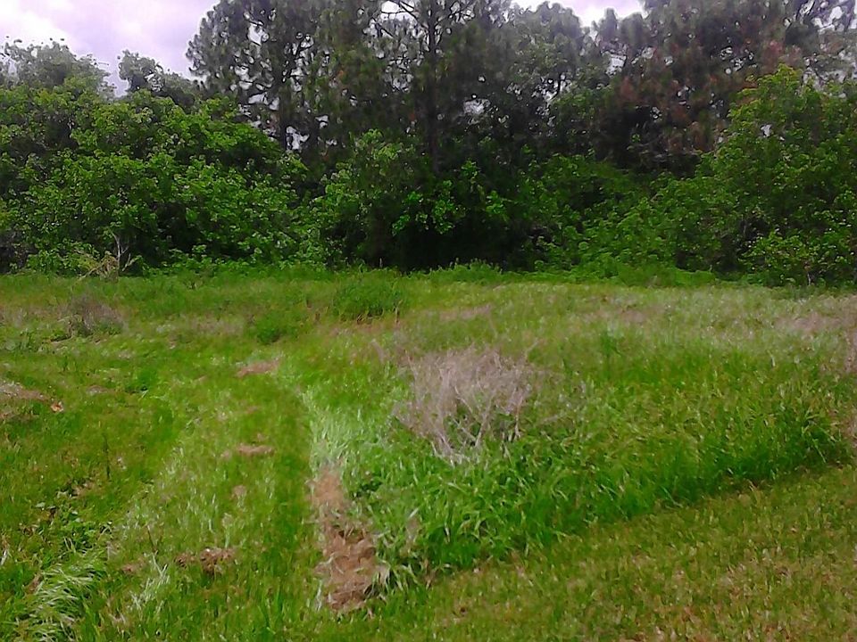 1st image of 2822 SW Shoal Ct