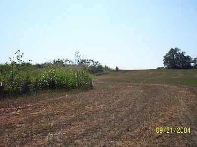 2nd image of 170th