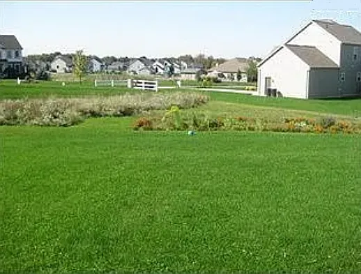 5526 Grey Dr — Photo 2