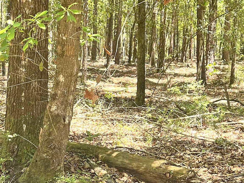 2nd image of Colts Crossing Ln