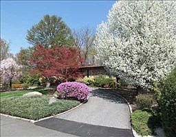 2nd image of 43 Pecan Valley Dr