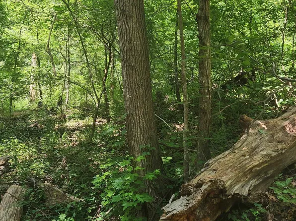 Lots 2 & 3 Basin St, Jefferson, TX 75657