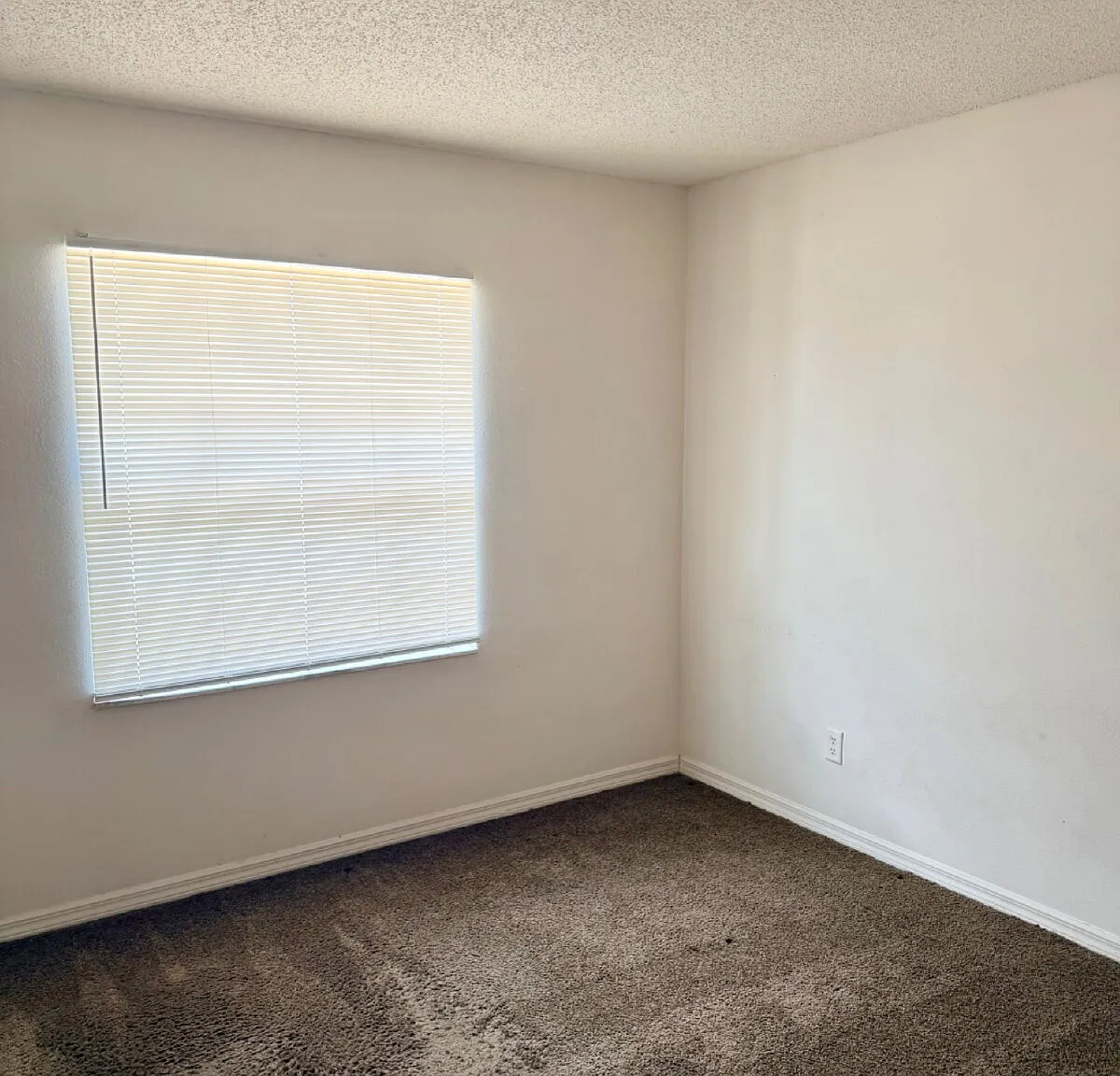 3 bed, 2.0 bath, $1,775 — Photo 4