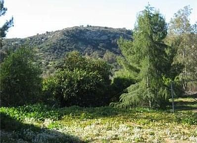 3rd image of 2425 Serena Hills Dr