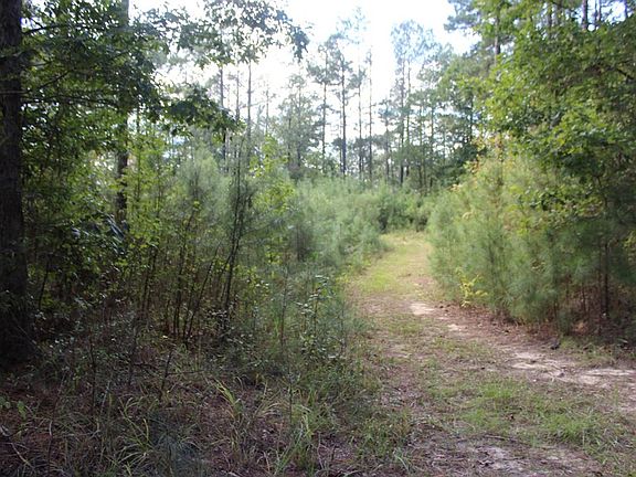 2nd image of 0 River Road Dr SE