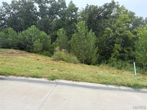 321 Watermill Dr, Washington, MO 63090