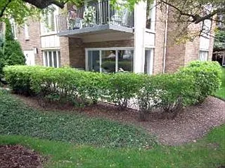 2 Oak Brook Club Dr APT C106 photo 1