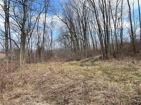 Noble Rd, Orwell, OH 44076