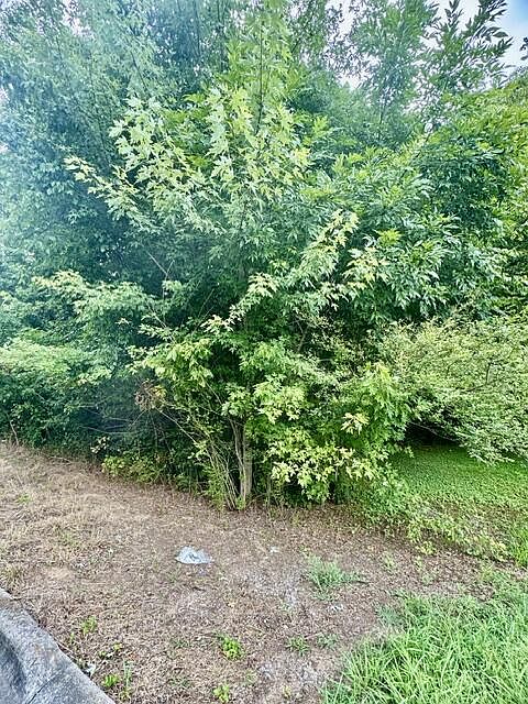 1st image of 0 Old Chattanooga Rd
