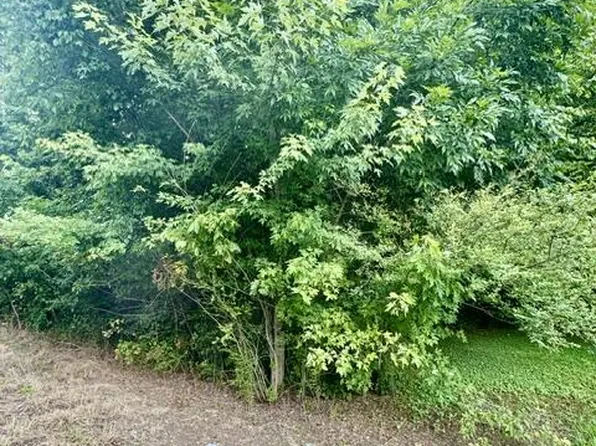 0 Old Chattanooga Rd, Rocky Face, GA 30740