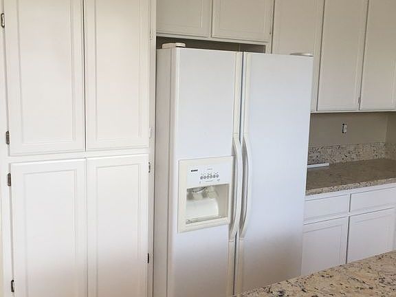 Kitchen pantry and fridge