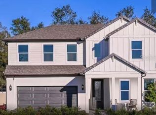 13721 Brookside Haven St, Riverview, FL 33578