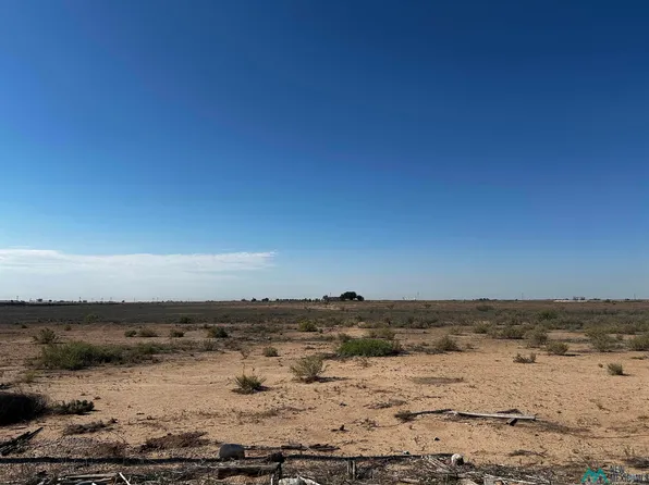 264 E Chickasaw Rd, Hagerman, NM 88232