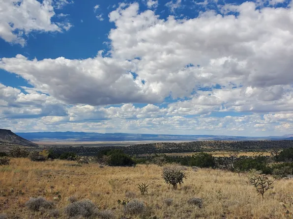 Cantina Rd, Grants, NM 87020